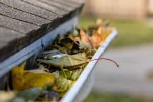 gutter guards