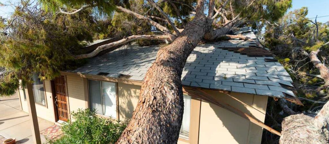 damaged roof